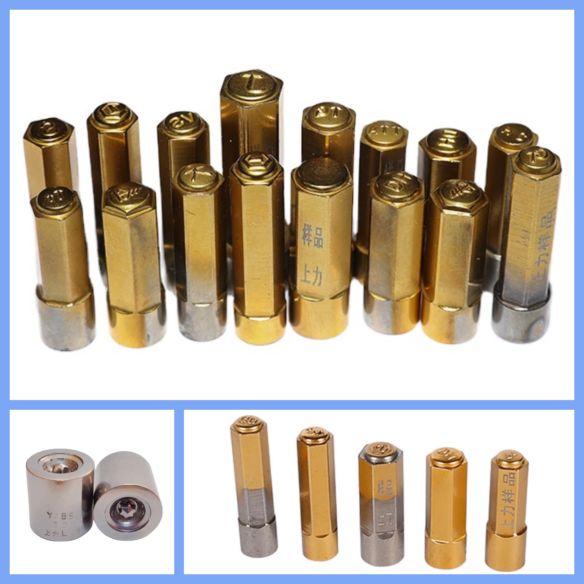 Hot Selling Customized Screw Punch and Die - Standard & Non-Standard Punch Pin