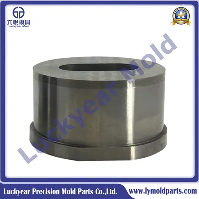 High Precision Tungsten Carbide Die